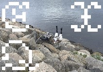 _versions/exquisitecorpusludios_mainimage-v2_c-sarakoniarek_small.jpg