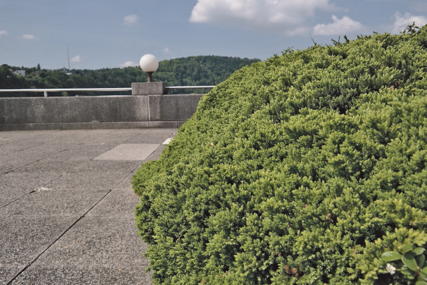 Aufruf … Foto Die Referentin