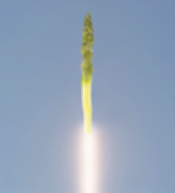 spargelrocket