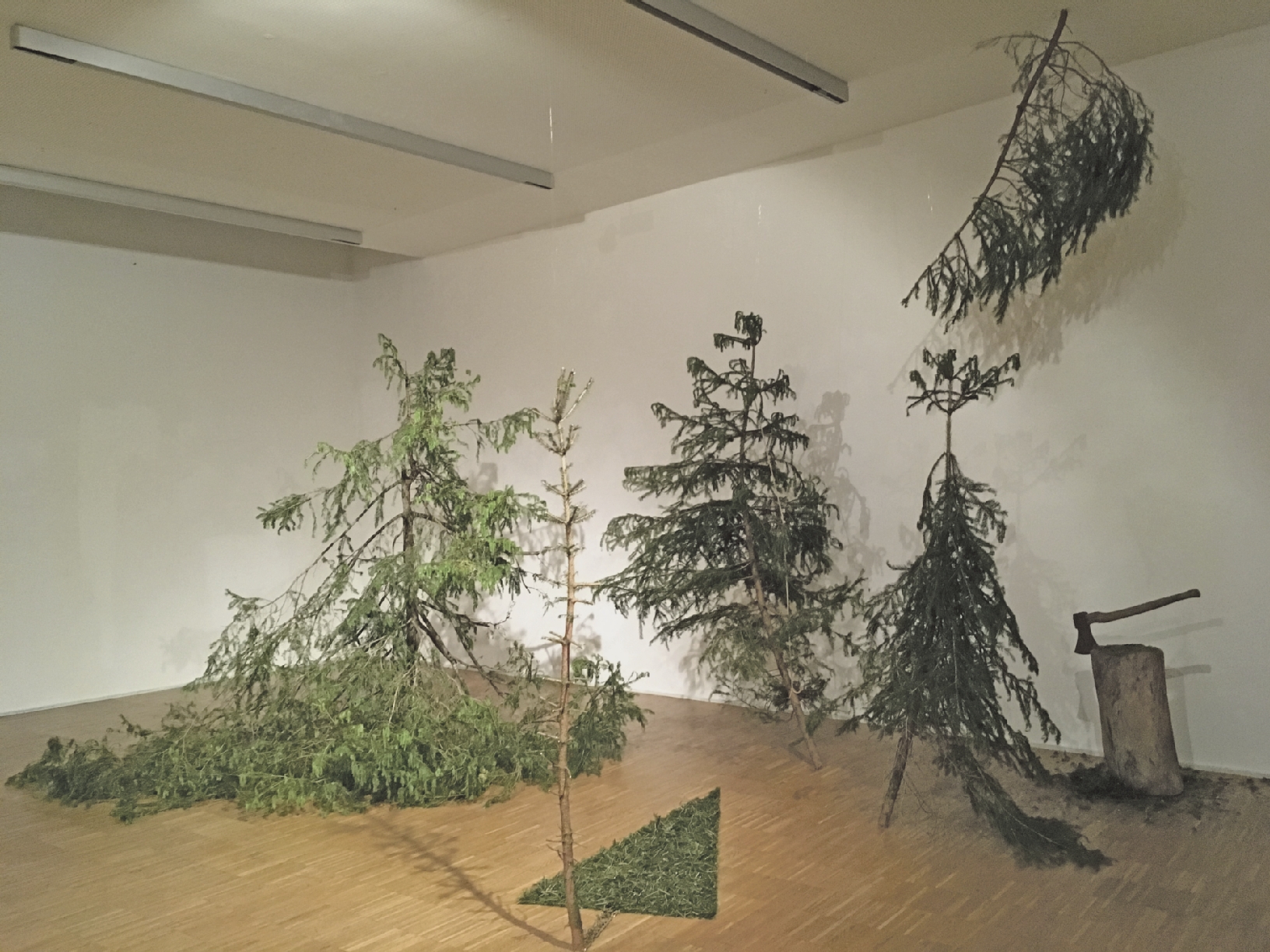 HAUPTBILD_Betty Wimmer_maerz_bäume2_foto_betty wimmer 5 trees in der Maerz. Foto Betty Wimmer