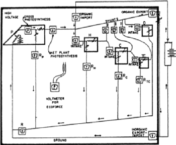 Abb. 2 Howard Odums Ökosystemdarstellung Howard Odums erste Ökosystemdarstellung basierend auf Symbolen und Ästhetik von elektrischen Schaltplänen. Bild Howard Odum, 1960