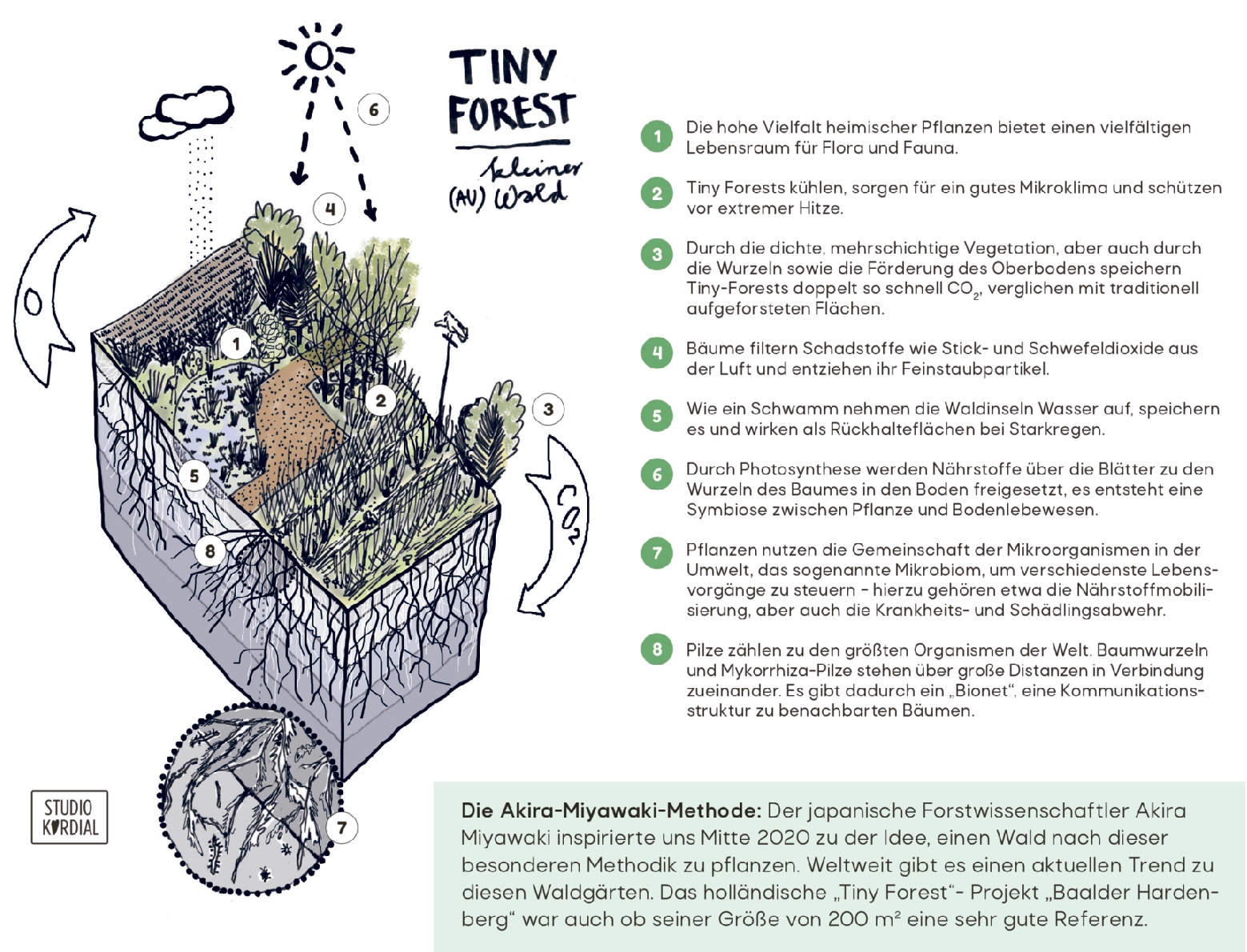Tiny_Forest Tiny Forest, Klimoase Linz. Grafik Studio Kordial, Hannah Kordes