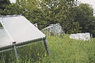 5_bot_garten_presse freundinnenderkunst